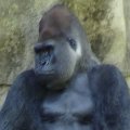 DSC00566