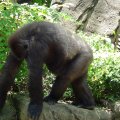 DSC00568