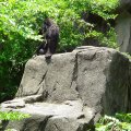 DSC00580