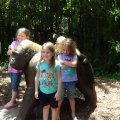 DSC00581