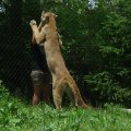 DSC00590