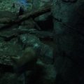 DSC00596
