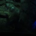 DSC00597