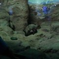 DSC00600