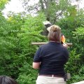 DSC00606