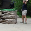 DSC00607