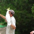 DSC00608