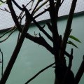 DSC00621