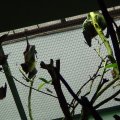 DSC00622