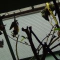 DSC00624