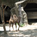 IMG_7770