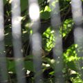IMG_7772