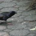 IMG_7777