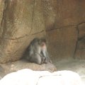 IMG_7782