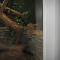 IMG_7797