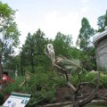 IMG_7799