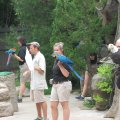 IMG_7830