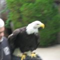 IMG_7832