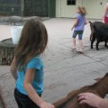 IMG_7844