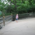 IMG_7847