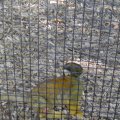 P9070068