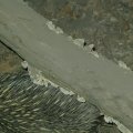 P5180265