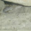 P6220011