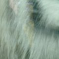 P6220032