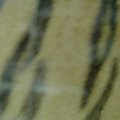 P6220038