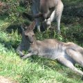 IMG_0249