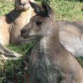 IMG_0251