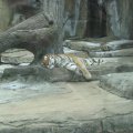 IMG_1928