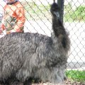 IMG_0781