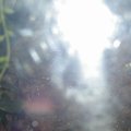 P1010237