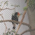 IMG_1977