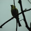 IMG_1983