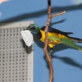 IMG_1986