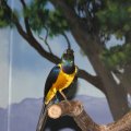 IMG_1991