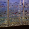 DSC00725