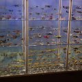 DSC00726