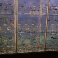 DSC00727