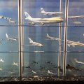 DSC00736