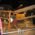 IMG_7948