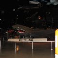 IMG_7981