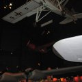 IMG_7991